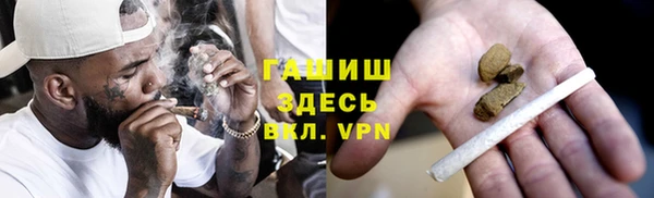 сатива Аркадак