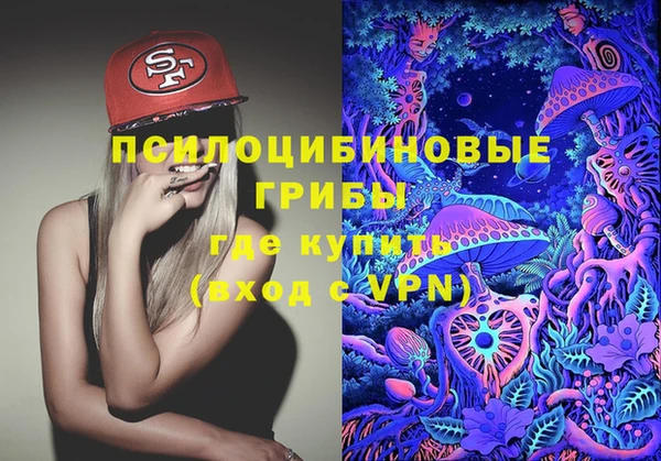 сатива Аркадак