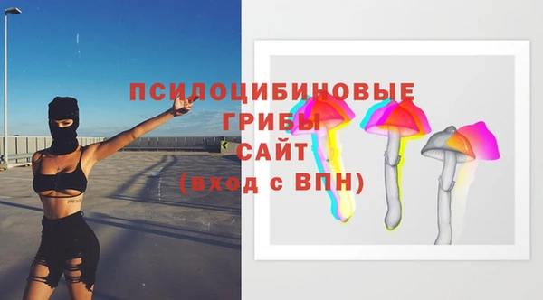 сатива Аркадак