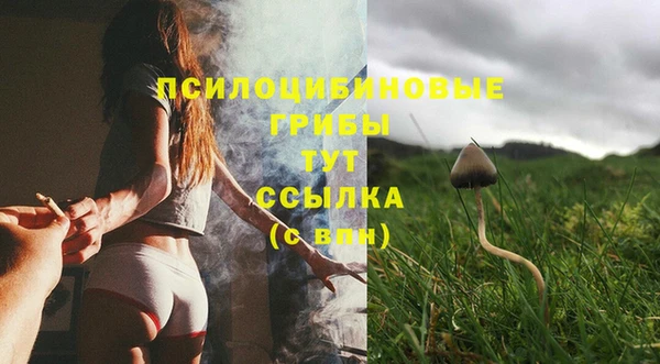 Альфа ПВП Арсеньев