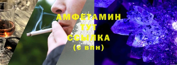 сатива Аркадак